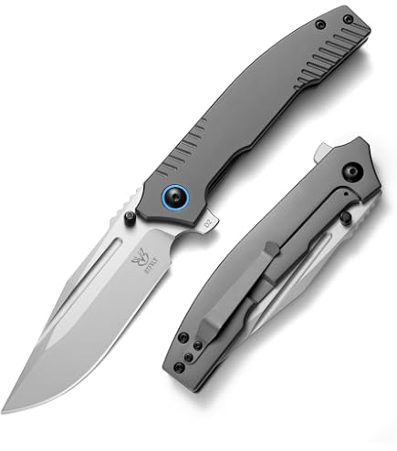 Amazon.com: REALSTEEL H6 Blue Sheep Folding Pocket Knife, Liner
